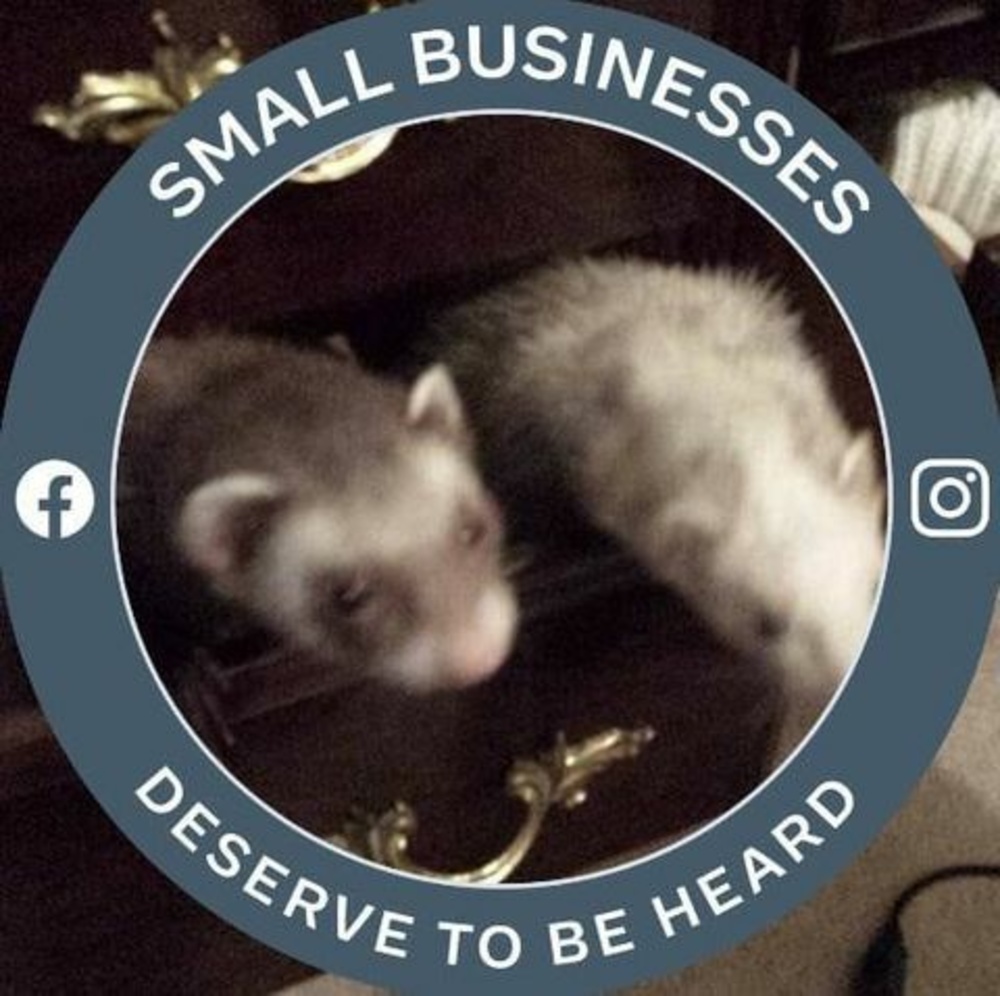 Meet your Posher, Mitzi